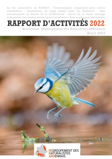 Rapport activités 2022